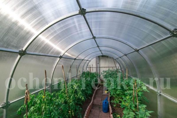 Теплица Счастье Садовода 3м фото 8