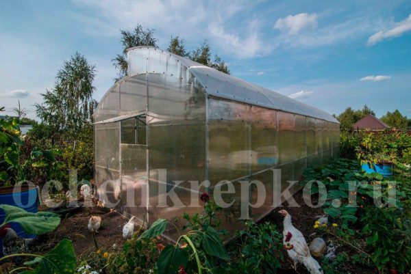 Теплица Миттлайдер 3,5м фото 10