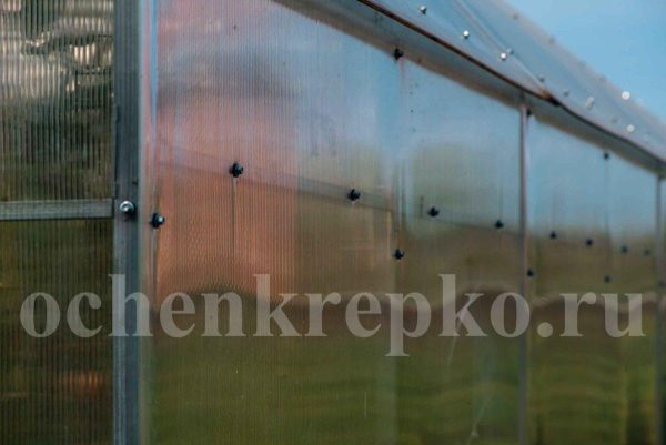 Теплица Миттлайдер 3,5м фото 6