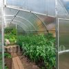 Теплица Счастье Садовода 3м фото 9