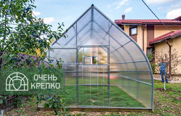Теплица Каплевидная 3,5м фото 2