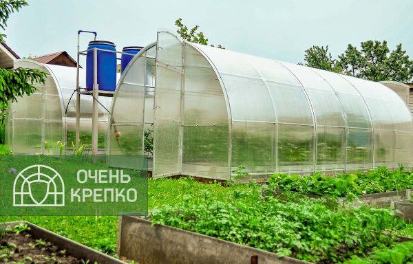 Теплица Усиленная 2,5 м фото 4