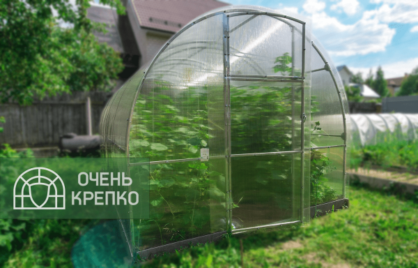 Теплица Звезда 2,5м фото 9