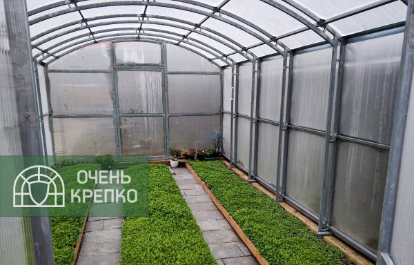 Теплица Гриб 3,5м фото 2