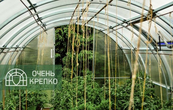 Теплица Усиленная 2,5 м фото 7