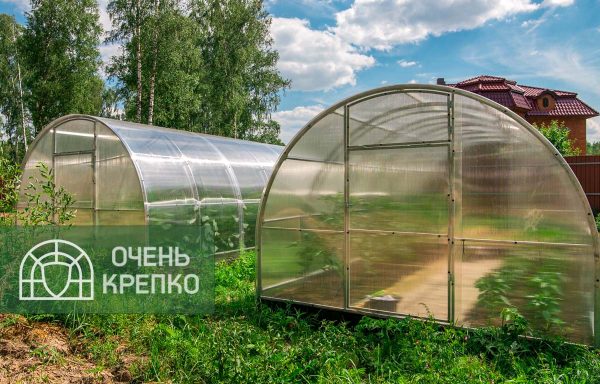 Теплица Усиленная 2,5 м фото 2