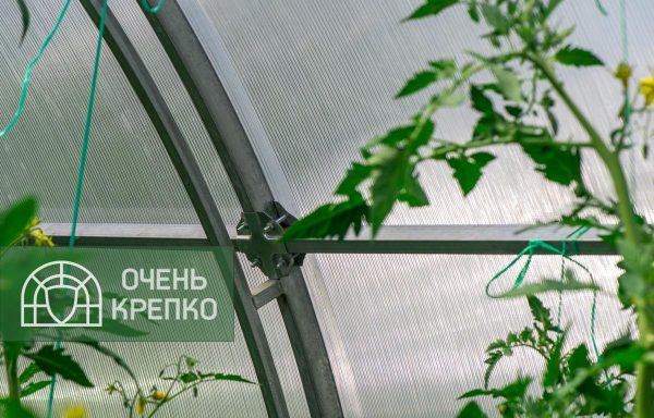 Теплица Усиленная 2,5 м фото 3