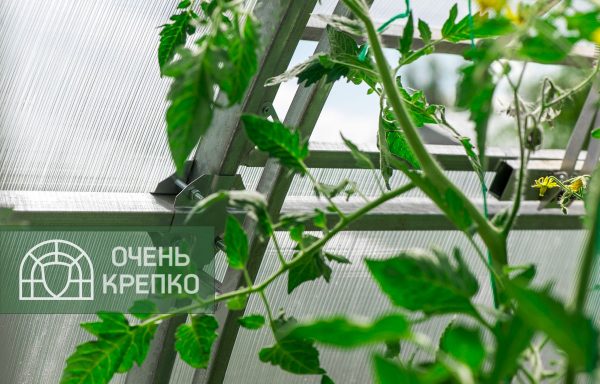 Теплица Усиленная 2,5 м фото 5