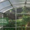 Теплица Квадратная фото 4
