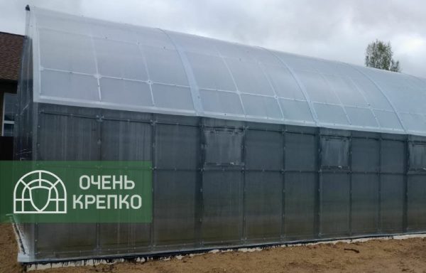 Теплица Миттлайдер 3,5м Люкс фото 2