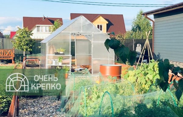 Теплица Алтайская сказка 3,5м Люкс