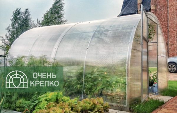 Теплица Социальная 3м фото 5