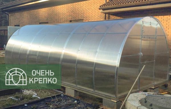 Теплица Социальная 3м фото 6