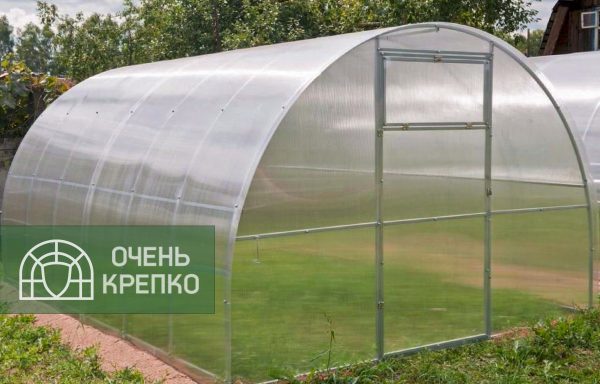 Теплица Семейная 3 м фото 3